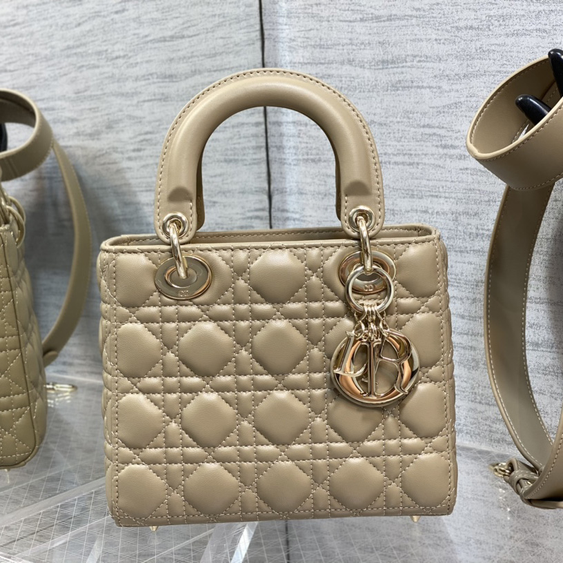 Dior Medium Lady Dior Bag - FashionPlug