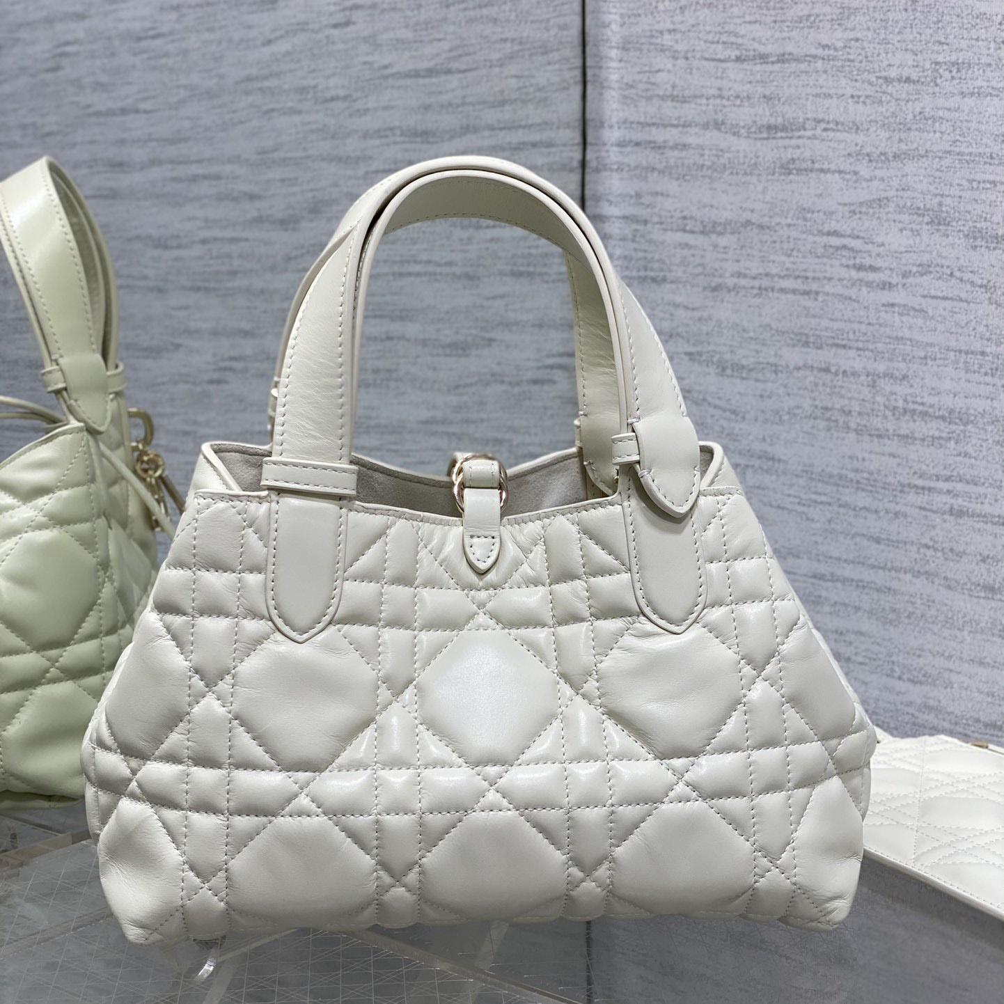 Dior Small Dior Toujours Bag - FashionPlug
