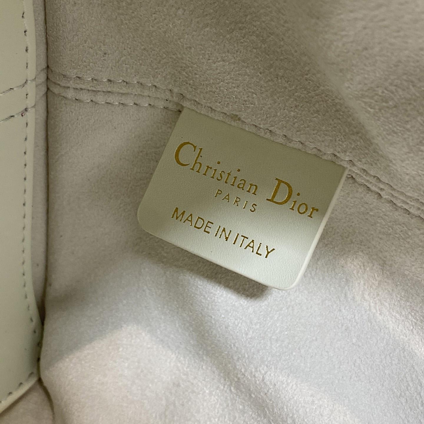 Dior Small Dior Toujours Bag - FashionPlug