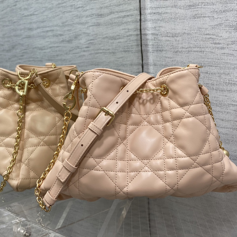 Dior Medium Dior Ammi Bag - FashionPlug