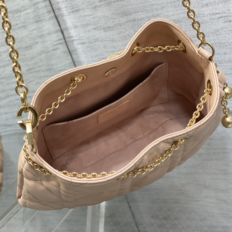 Dior Medium Dior Ammi Bag - FashionPlug