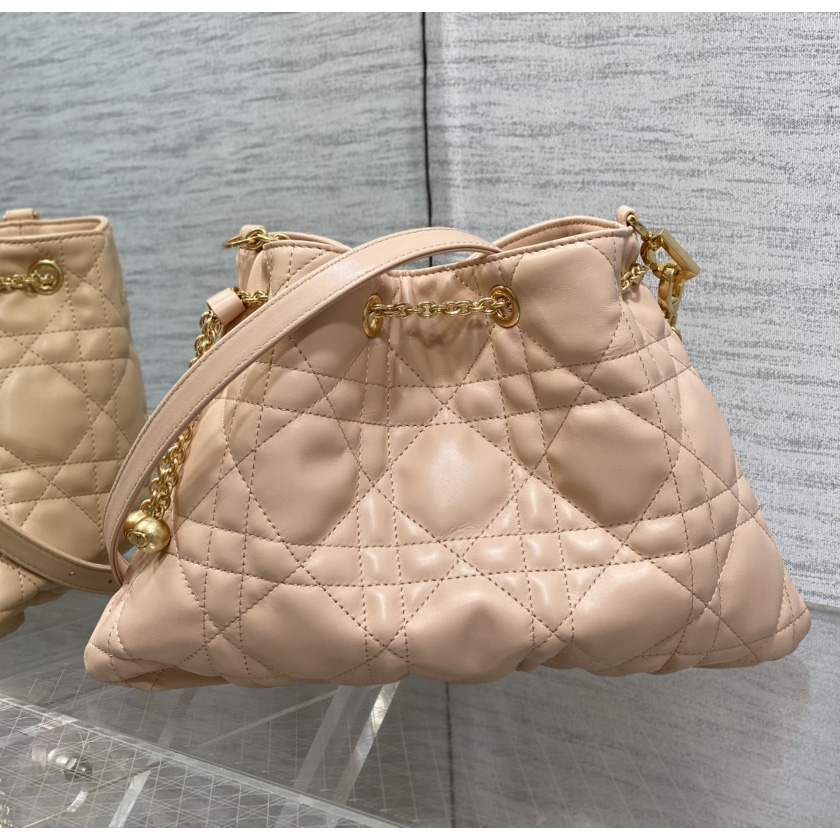 Dior Medium Dior Ammi Bag - FashionPlug