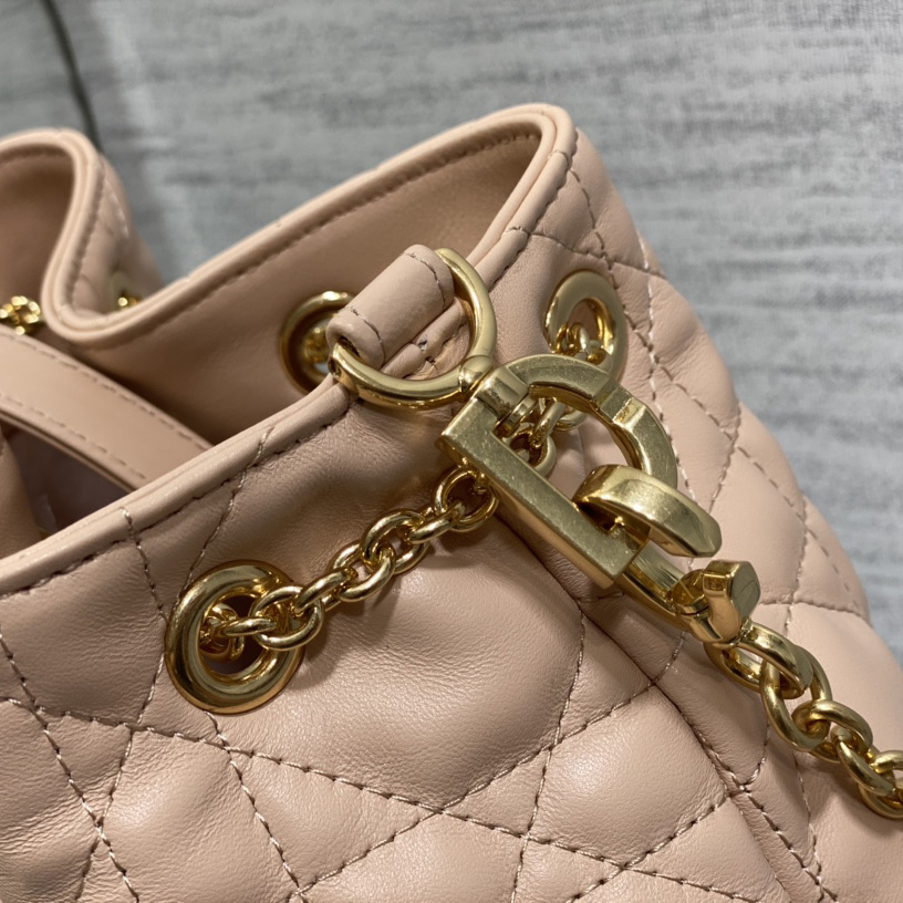 Dior Medium Dior Ammi Bag - FashionPlug