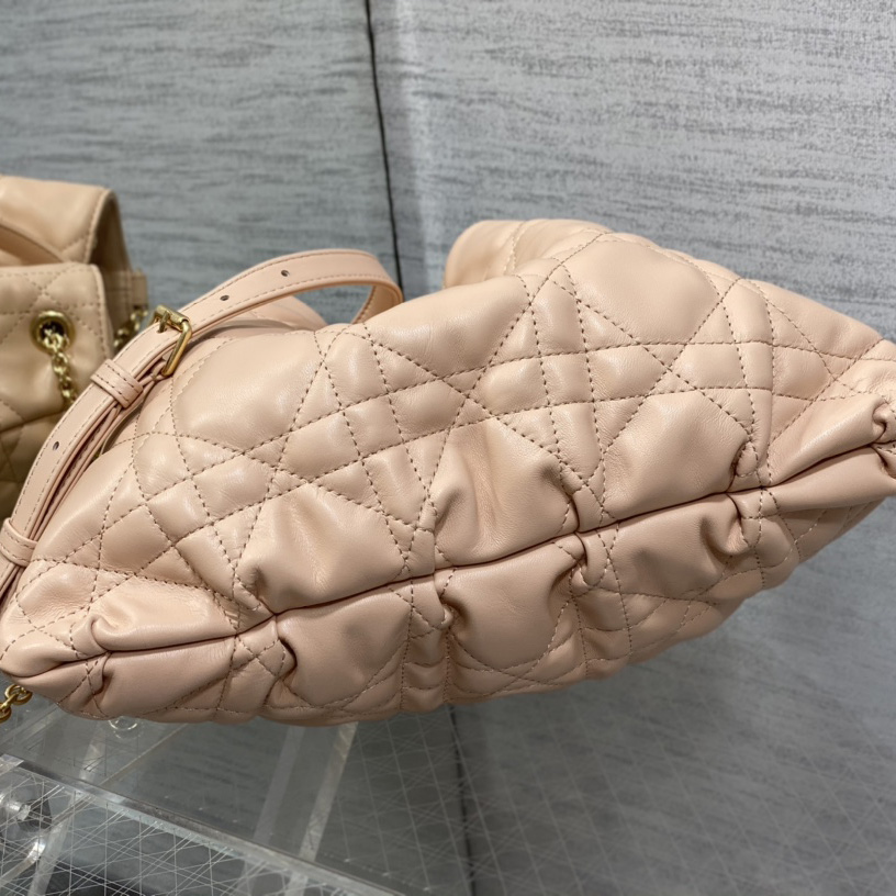 Dior Medium Dior Ammi Bag - FashionPlug