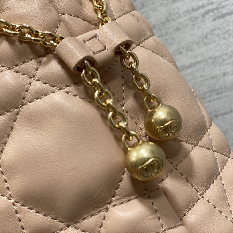 Dior Medium Dior Ammi Bag - FashionPlug