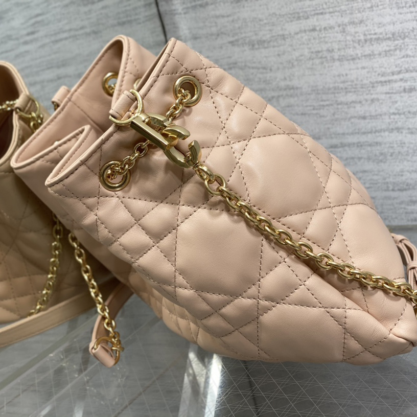 Dior Medium Dior Ammi Bag - FashionPlug