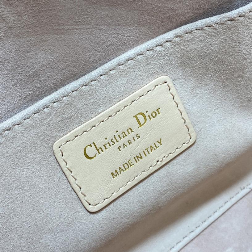 Dior Medium Dior Ammi Bag - FashionPlug