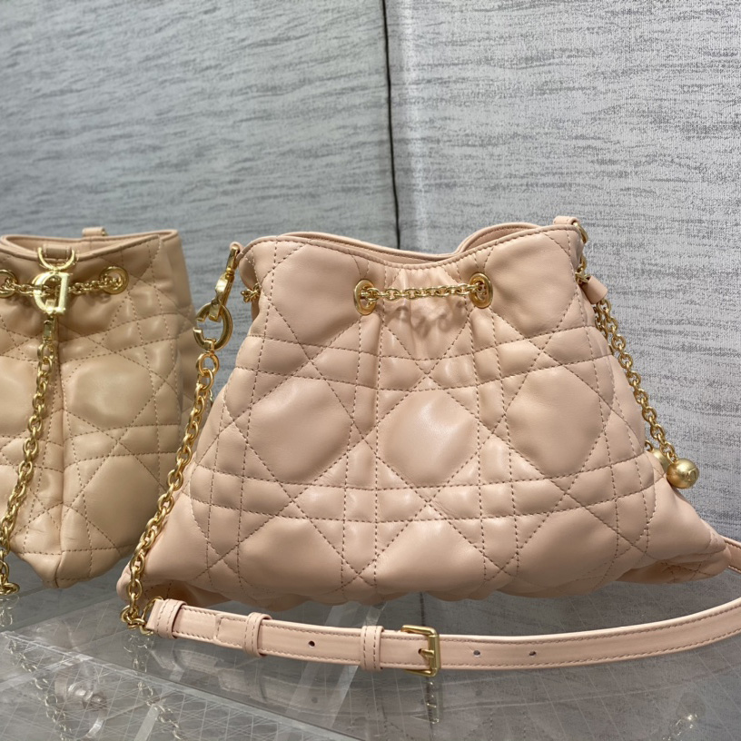 Dior Medium Dior Ammi Bag - FashionPlug