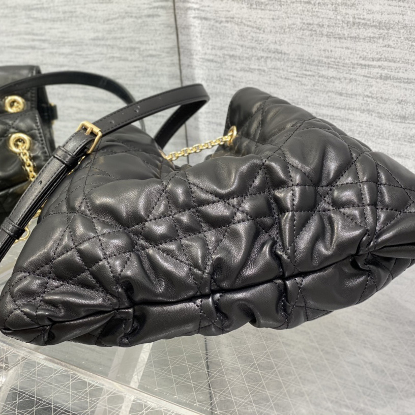 Dior Medium Dior Ammi Bag - FashionPlug