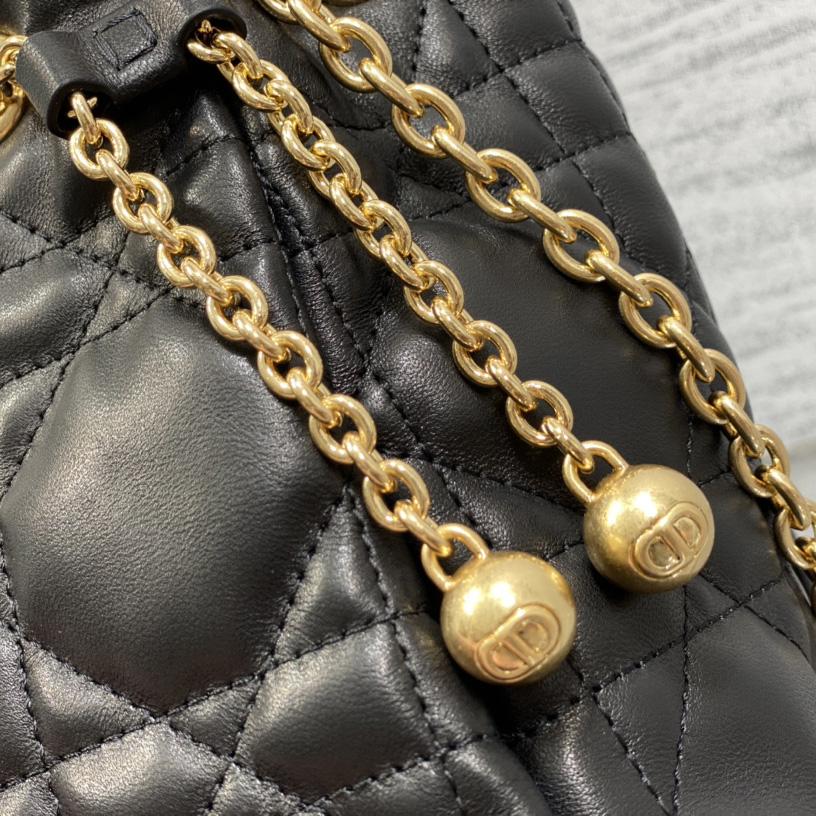 Dior Medium Dior Ammi Bag - FashionPlug