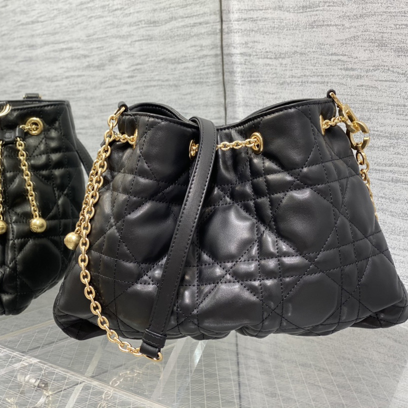 Dior Medium Dior Ammi Bag - FashionPlug