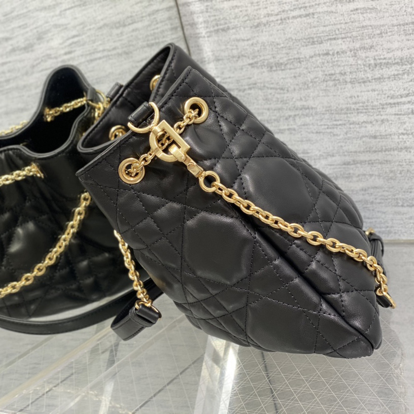 Dior Medium Dior Ammi Bag - FashionPlug