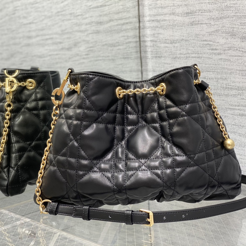 Dior Medium Dior Ammi Bag - FashionPlug