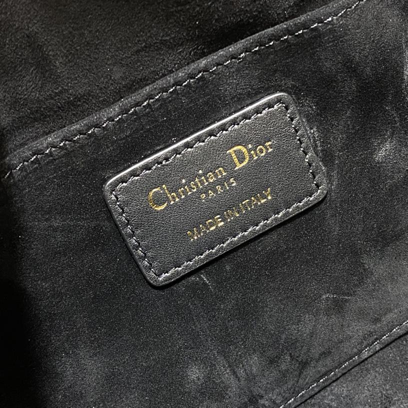 Dior Medium Dior Ammi Bag - FashionPlug