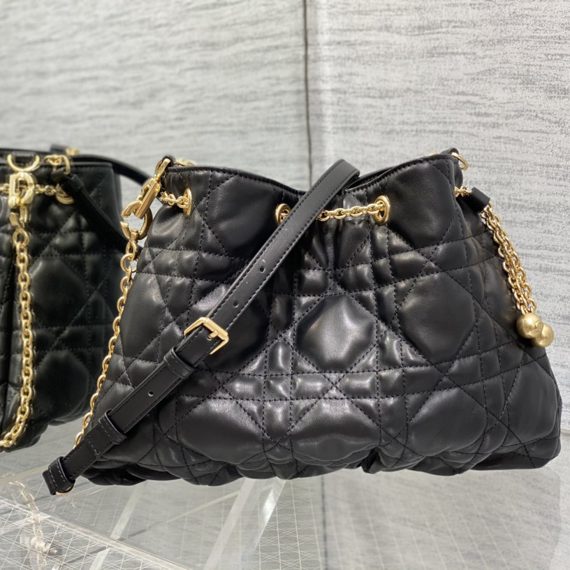 Dior Medium Dior Ammi Bag - FashionPlug
