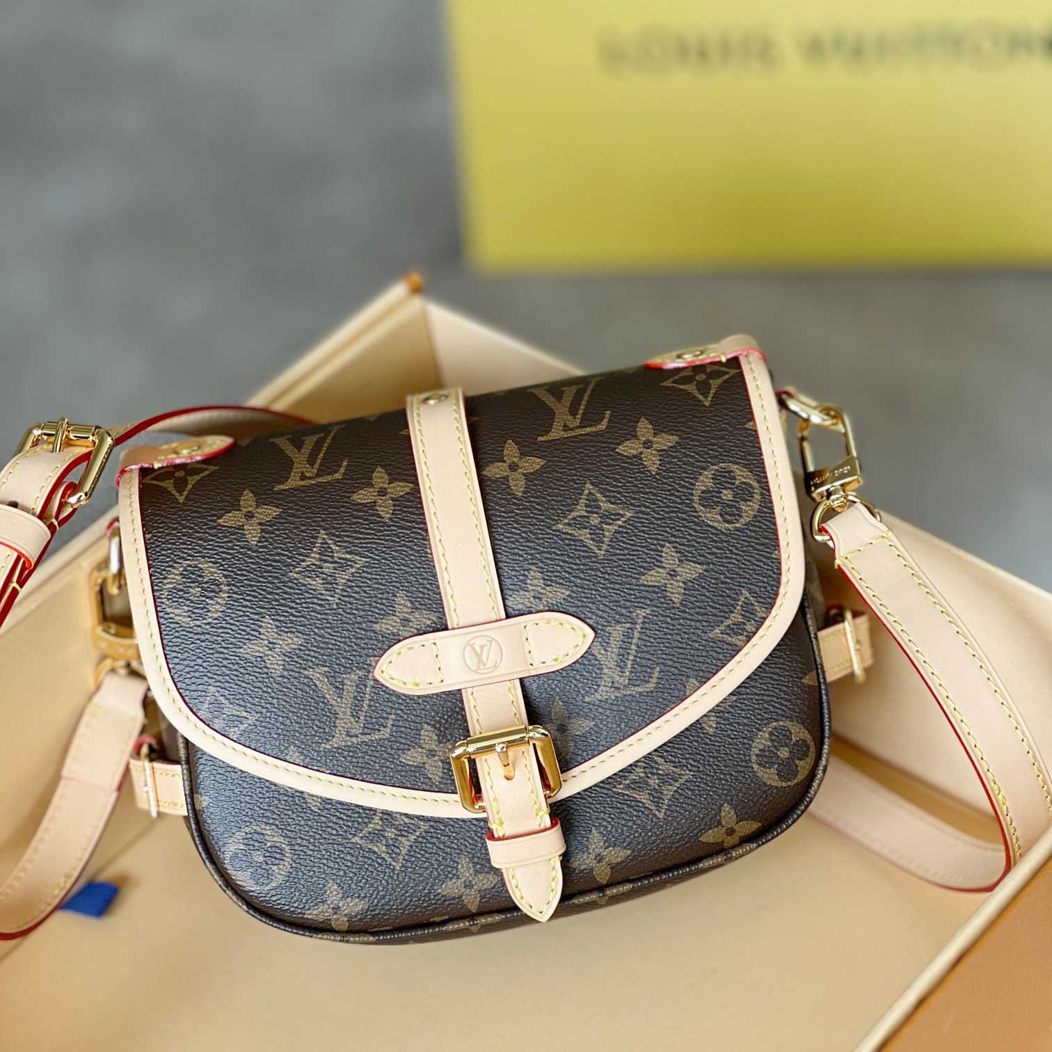Louis Vuitton Saumur BB (20x15x7.5cm)   M46740 - FashionPlug