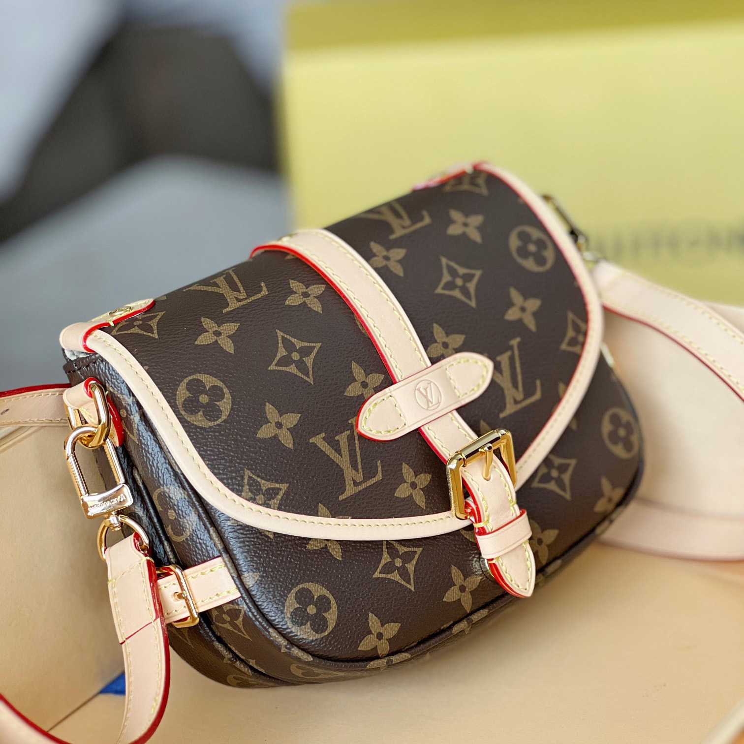 Louis Vuitton Saumur BB (20x15x7.5cm)   M46740 - FashionPlug
