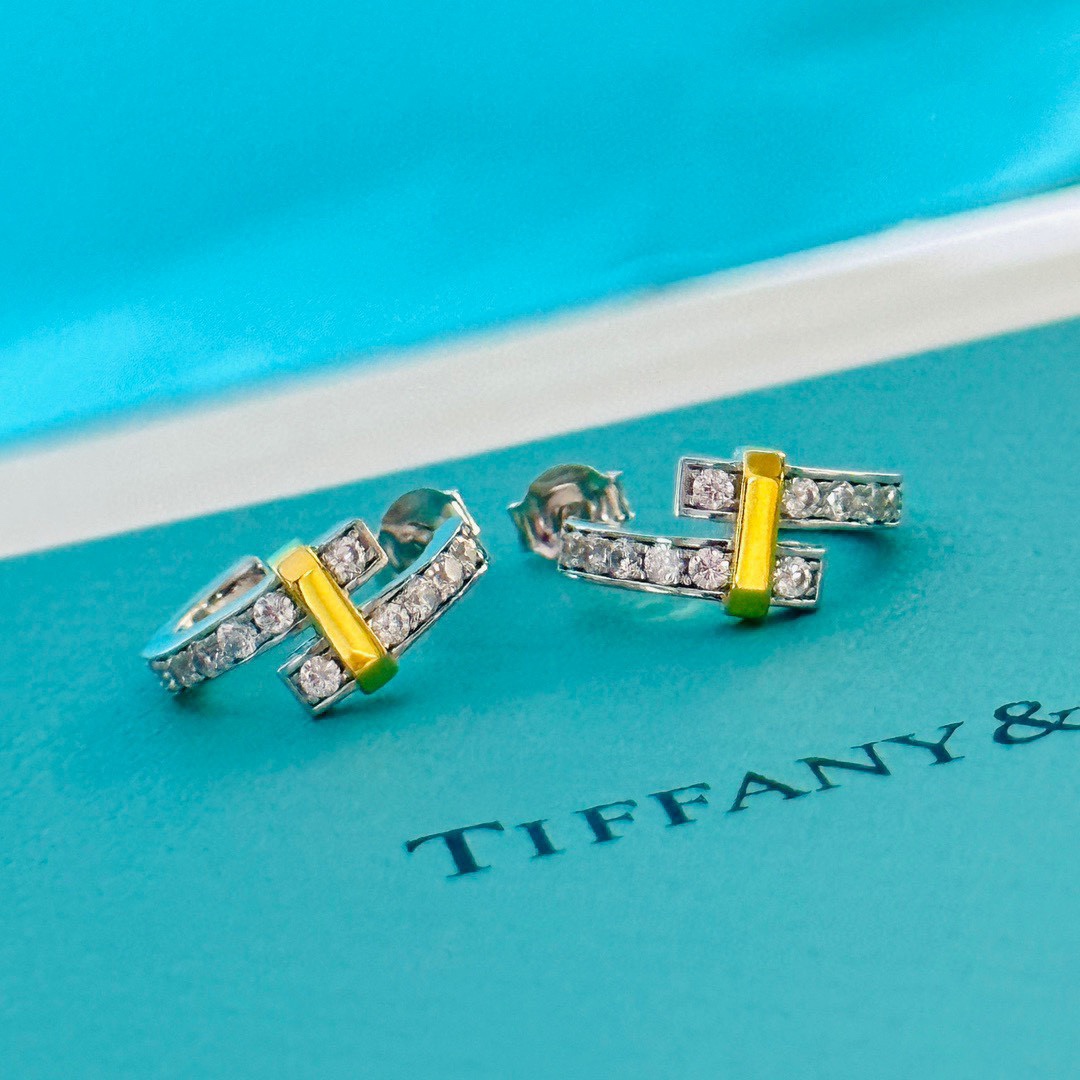 Tiffany&CO Hoop Earrings - FashionPlug