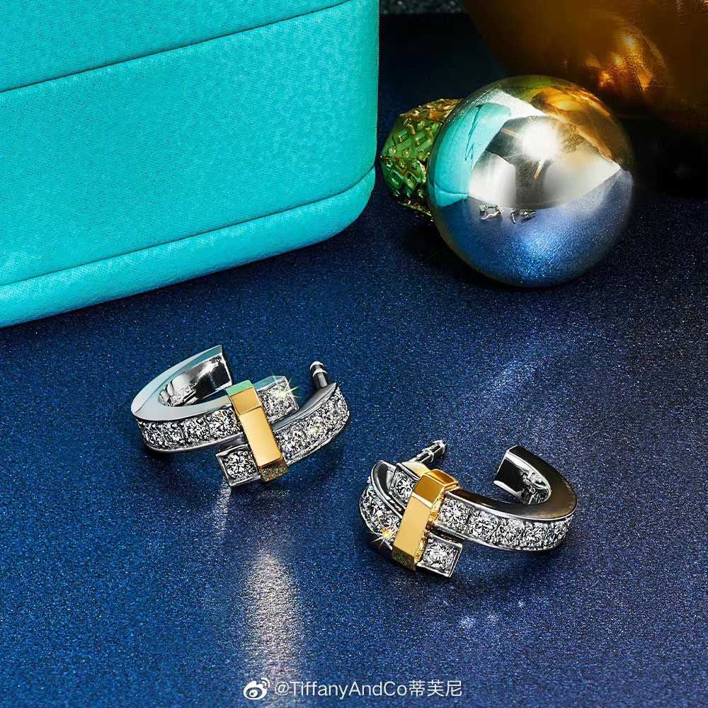 Tiffany&CO Hoop Earrings - FashionPlug