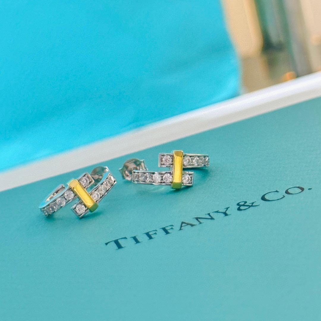 Tiffany&CO Hoop Earrings - FashionPlug