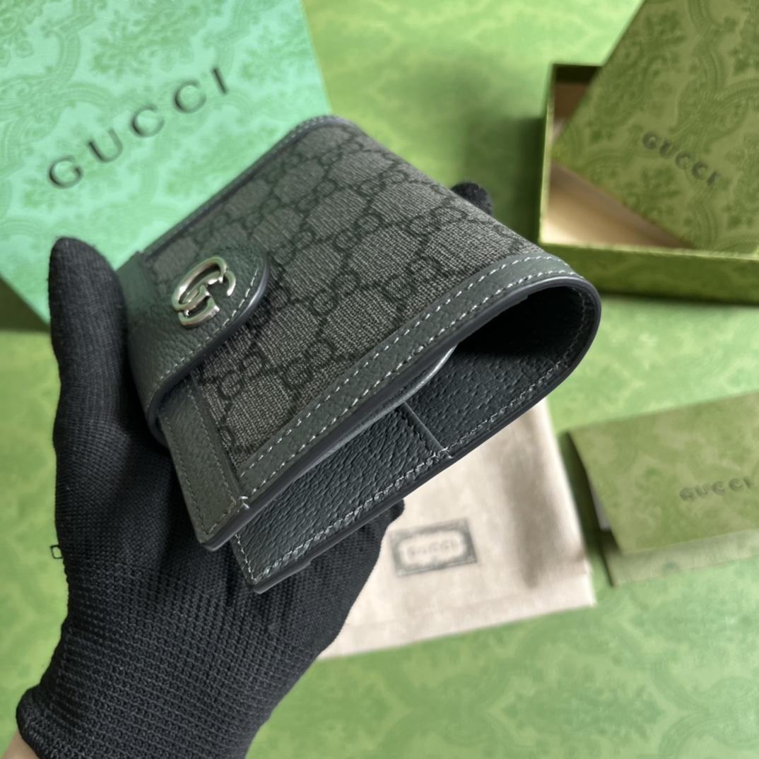 Gucci Ophidia Passport Case - FashionPlug