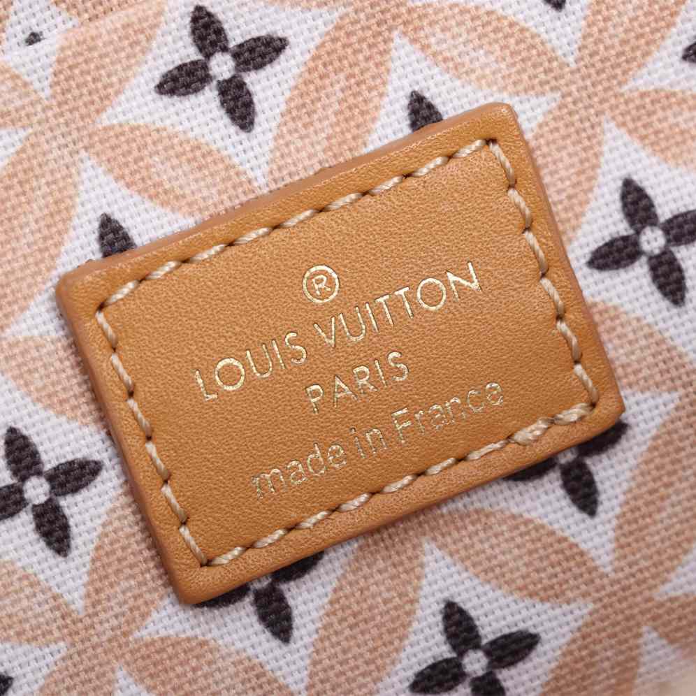 Louis Vuitton Félicie Pochette (21 x 12 x 3cm)  M82520 - FashionPlug