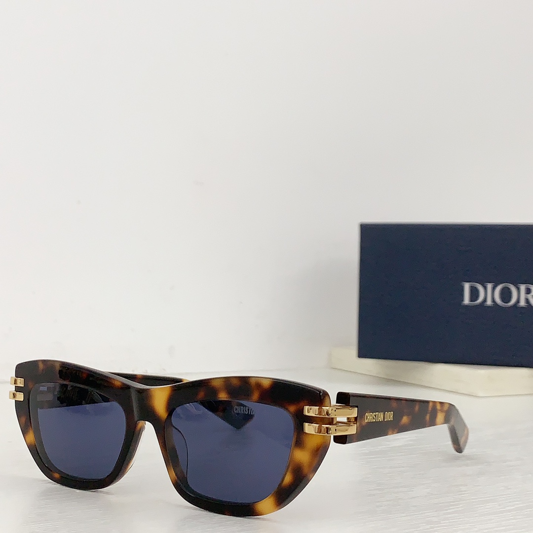 Dior CDior B2U Sunglasses - FashionPlug