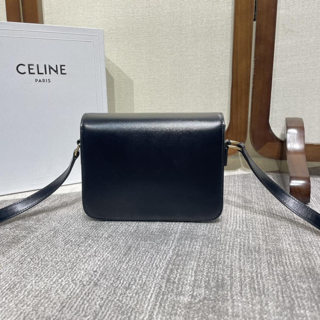 Celine Teen Triomphe Bag In Shiny Calfskin - FashionPlug