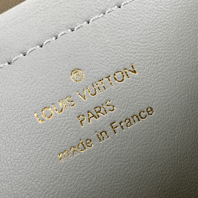 Louis Vuitton Pochette Coussin (20-14-8cm)   M82474 - FashionPlug