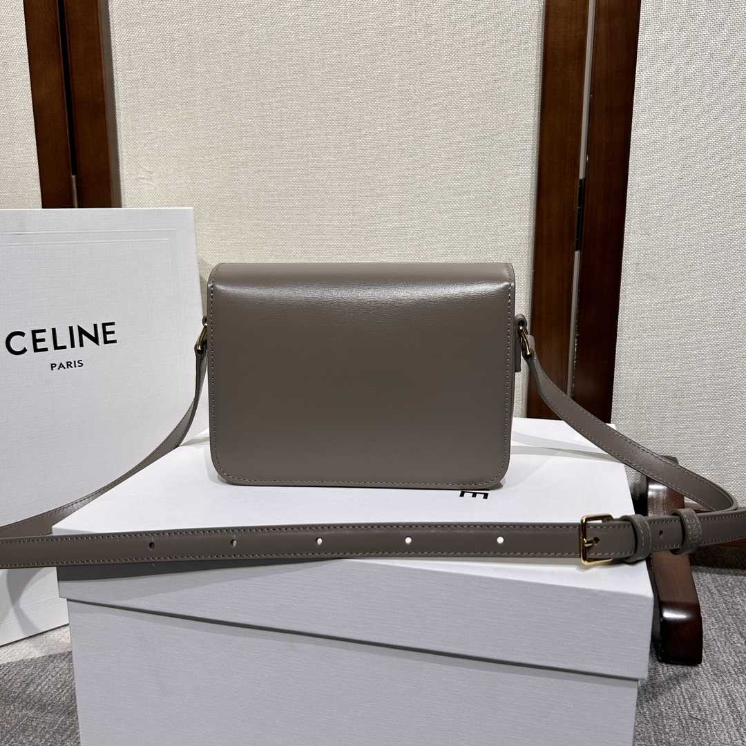 Celine Teen Triomphe Bag In Shiny Calfskin - FashionPlug