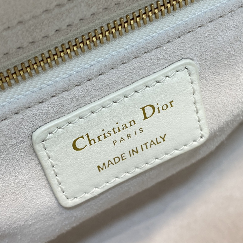 Dior Medium Lady Dior Bag - FashionPlug