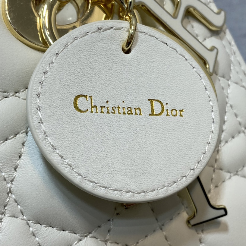 Dior Medium Lady Dior Bag - FashionPlug