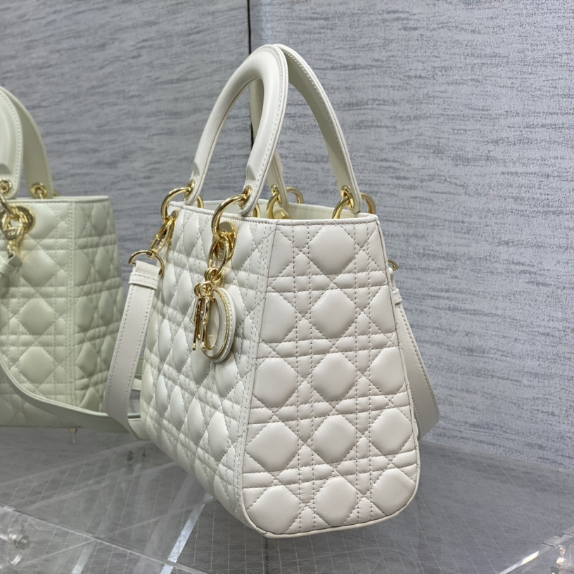 Dior Medium Lady Dior Bag - FashionPlug