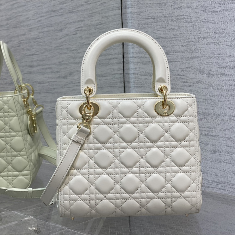 Dior Medium Lady Dior Bag - FashionPlug
