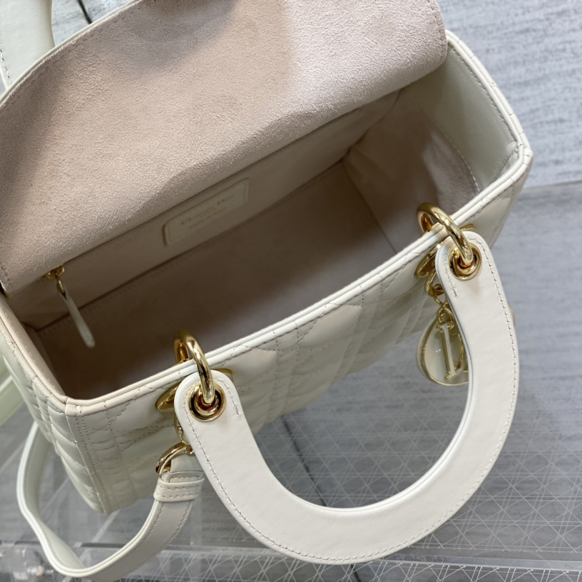Dior Medium Lady Dior Bag - FashionPlug