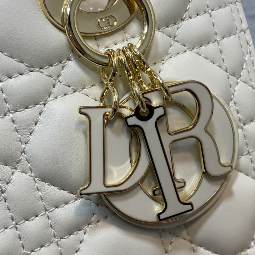Dior Medium Lady Dior Bag - FashionPlug