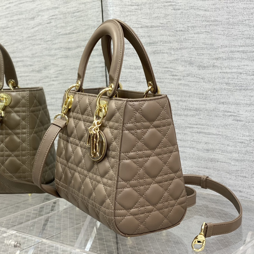 Dior Medium Lady Dior Bag - FashionPlug