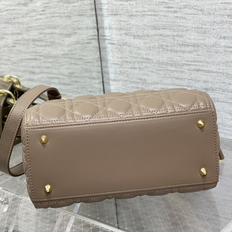 Dior Medium Lady Dior Bag - FashionPlug