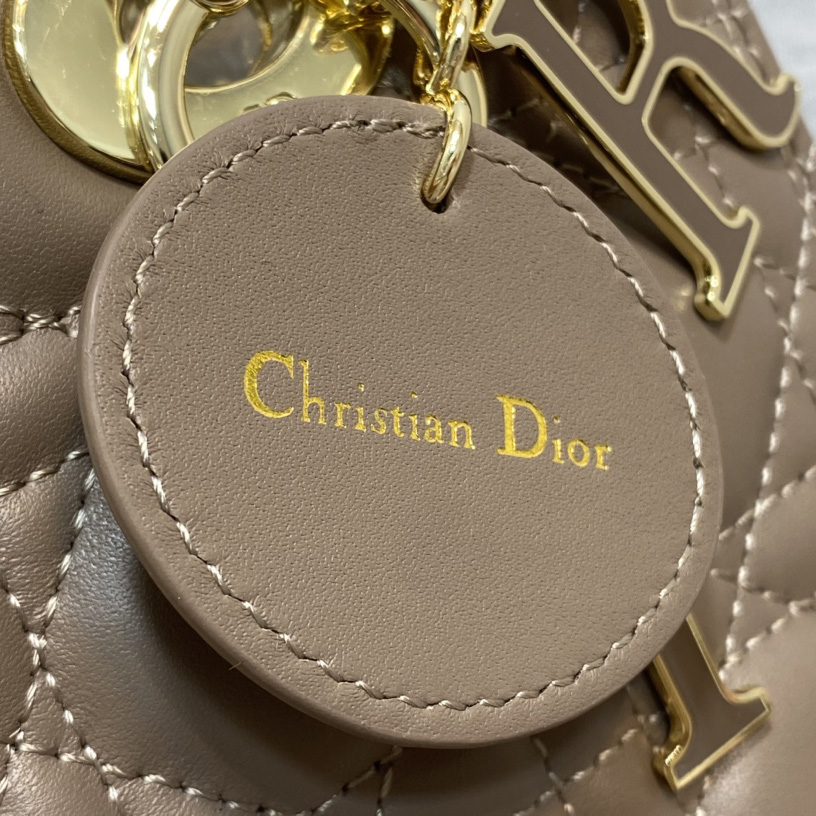 Dior Medium Lady Dior Bag - FashionPlug