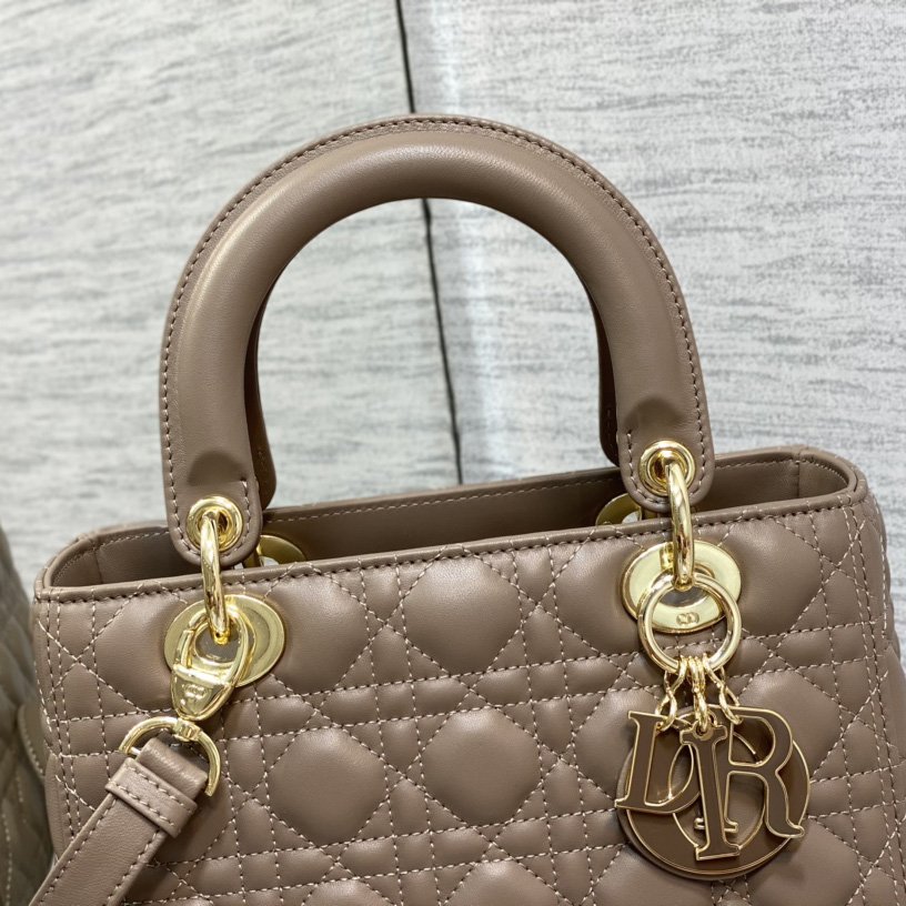 Dior Medium Lady Dior Bag - FashionPlug