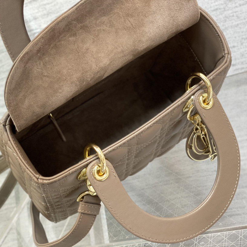 Dior Medium Lady Dior Bag - FashionPlug