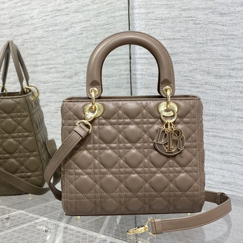 Dior Medium Lady Dior Bag - FashionPlug