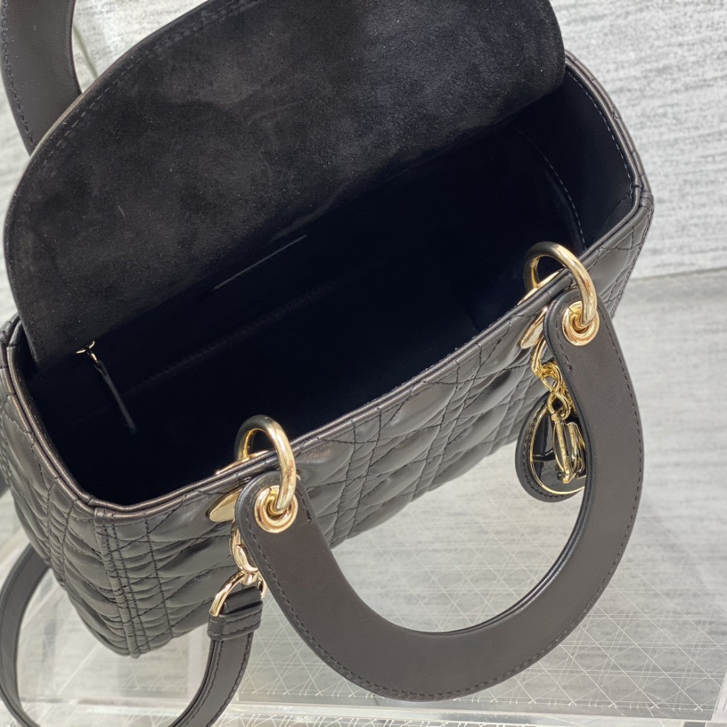 Dior Medium Lady Dior Bag - FashionPlug