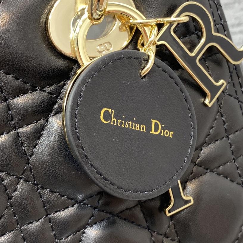 Dior Medium Lady Dior Bag - FashionPlug