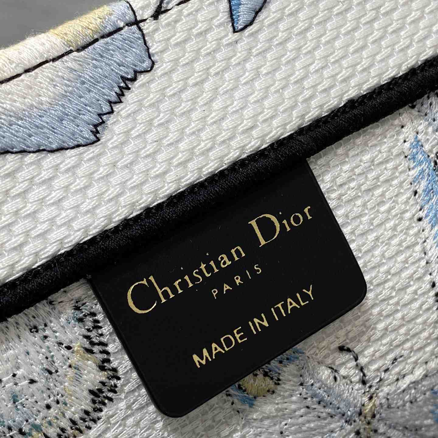 Dior Large Dior Book Tote - FashionPlug