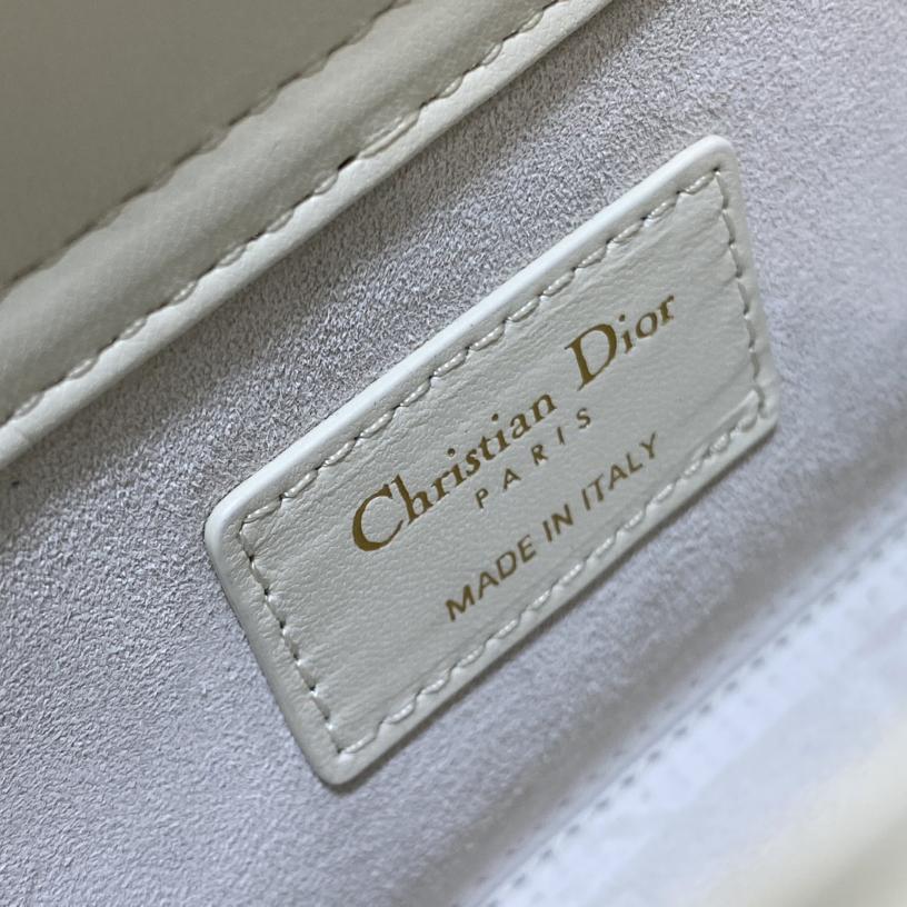 Dior Medium Lady D-Joy Bag - FashionPlug