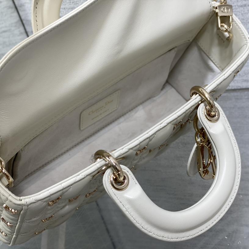 Dior Medium Lady D-Joy Bag - FashionPlug