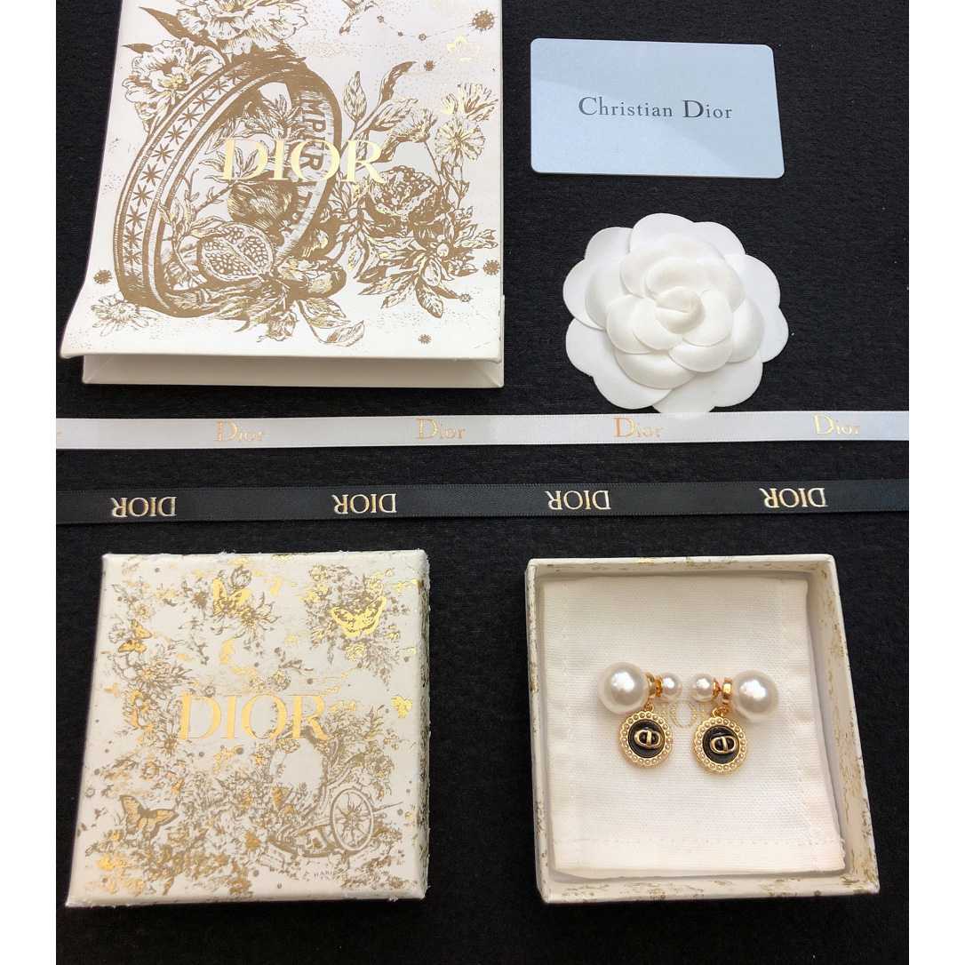 Dior Tribales Earrings - FashionPlug
