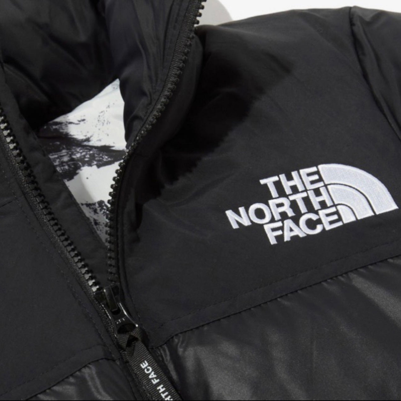 The North Face 1996 Retro Nuptse Jacket - FashionPlug