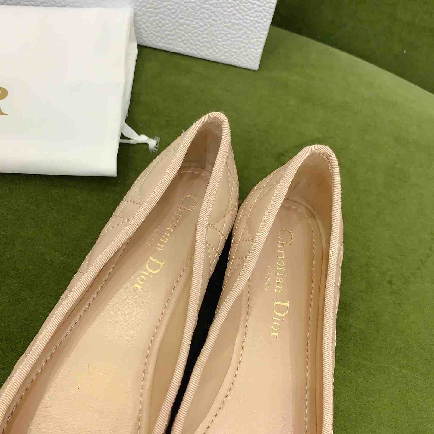 Dior Ballet Flat  - FashionPlug